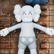 花式白给你大爷