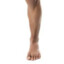 leg