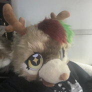 Gay Deer