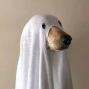 梁山伯与猪硬来