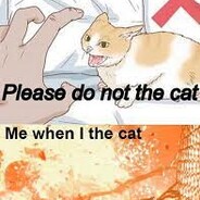 AVERAGE DUST II ENJOYER | FUNKY