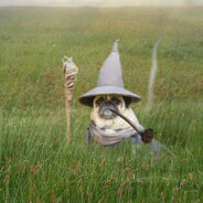 wizPug