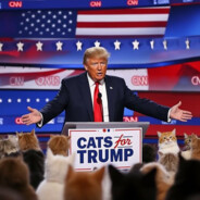 WeeHawky Cats for Trump