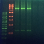 不拿我50分还想走？