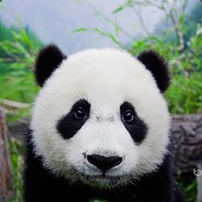 ♫PANDA♫