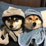 悍匪都是小宝贝ovo