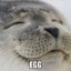 Egg