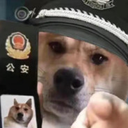 达文西 警号9527