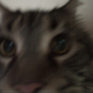yuu1chi - steam id 76561199816690326