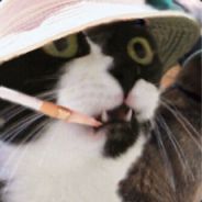 Skinman - steam id 76561197961884447