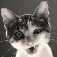 大半夜吃鸡排好罪恶