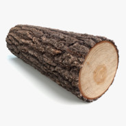 The Log