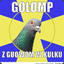 GOŁOMP_DEAGLE