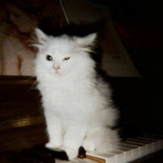 南瓜你有这么多问题