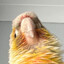 DeezBird