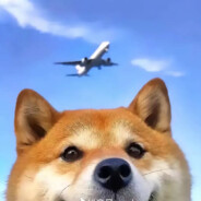 11她说带套不算给