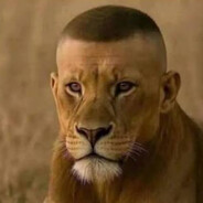 0_0 avatar