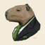 Mr. Capybara