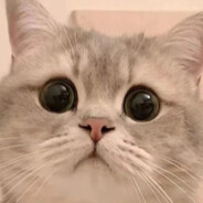 888888888888888888888888