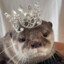 otter princess