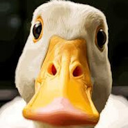 Captain_Duck
