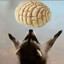 ImaginVoiDrachen