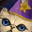 sad wizard cat