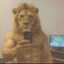lion couldnt give a sh*t