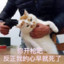 滞留丿回声