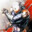 Grey Fox