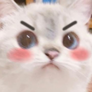 tmy