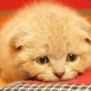 人生如戏全靠演技