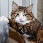 翻斗花园胡英俊