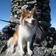 eG | Count Dooku [NOR]