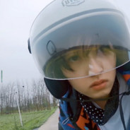 一日看尽长安花