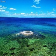 5技能背叛加强随机