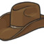 A Very Nice Cowboy Hat