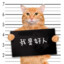 想追回她
