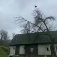 шнеля ватафа