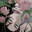 Jac avatar