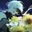 Nanaplays