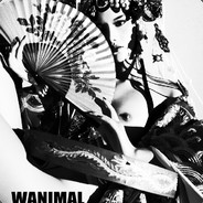 这一弩名为喜欢