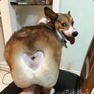 偷看直布罗陀仙贝洗澡