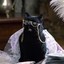 Salem Saberhagen