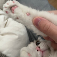 别憋笑 鼻孔变大很奇怪