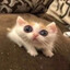 あっきひ