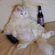 ^5Suck^0 My Dick <<<<<<