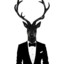 Mr.DeeR