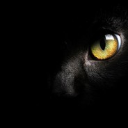 他拿姨媽騙我是處.....