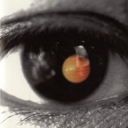 奈何如水非顾去